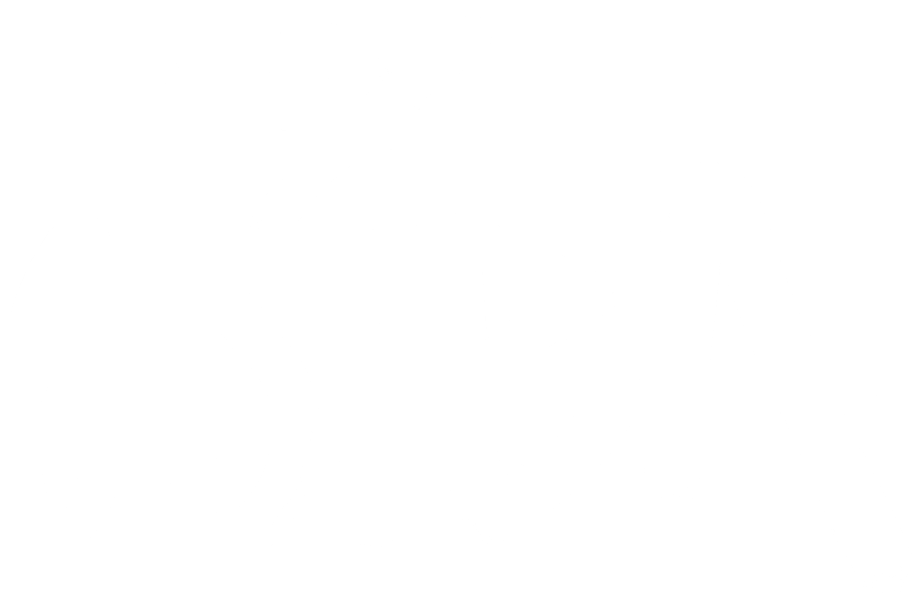 Odiba — Referenz von That's it. Marketing